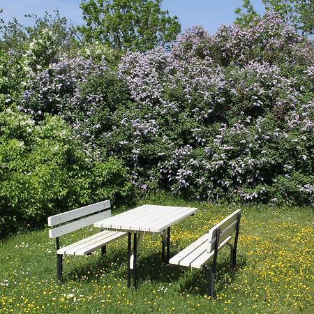 Klockaregarden I Hoegsrum Hogsrum 외부 사진